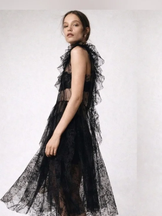 NWT Zara Woman Bloggers Fav LIMITED EDITION LACE MIDI DRESS Black Size M Medium - Picture 3 of 12